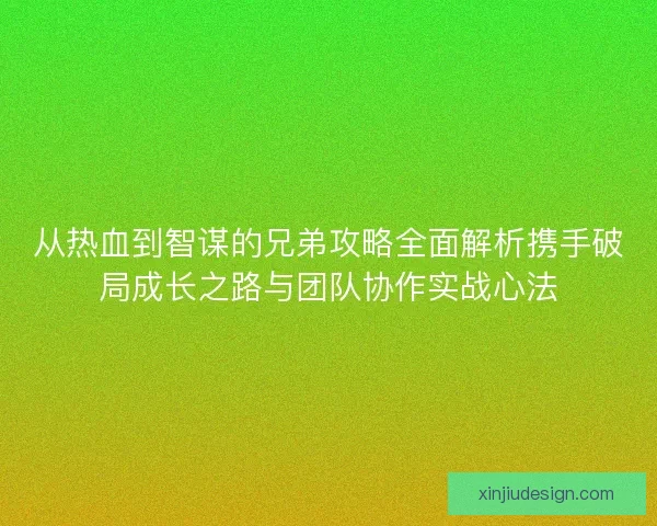 从热血到智谋的兄弟攻略全面解析携手破局成长之路与团队协作实战心法